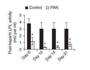 PAN hypertg present throughout proteinuria