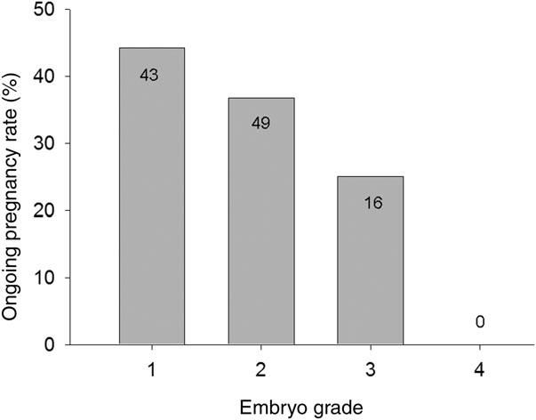Feil et al. Figure 2: Range of morphologies observed on Day 4 of embryo development Figure 3: Pregnancy rates using developed Day 4 scoring system with signal embryo transfers.