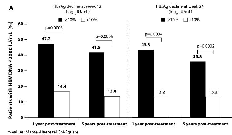 qhbsag decline during IFN-therapy Long-term predictive value Long-term