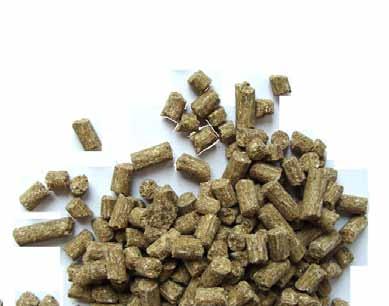 These are contained in Montanus Pferde Pellet in sufficient amount to support immune system, muscles and fitness.