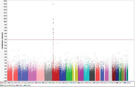 GWAS of carbamazepine-induced cutaneous ADRs (53 Japanese patients and 882 controls) Genome-wide association study identifies HLA-A*3101 allele as a
