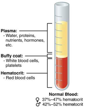 Composition of blood Spinning the blood sample in a specialized centrifuge, a process that causes the heavier elements suspended within the blood sample to separate from the lightweight, liquid