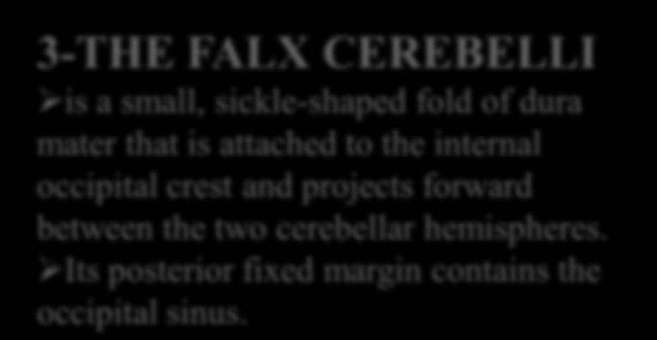 3-THE FALX CEREBELLI is a small, sickle-shaped fold of dura mater that is attached to the internal occipital crest and