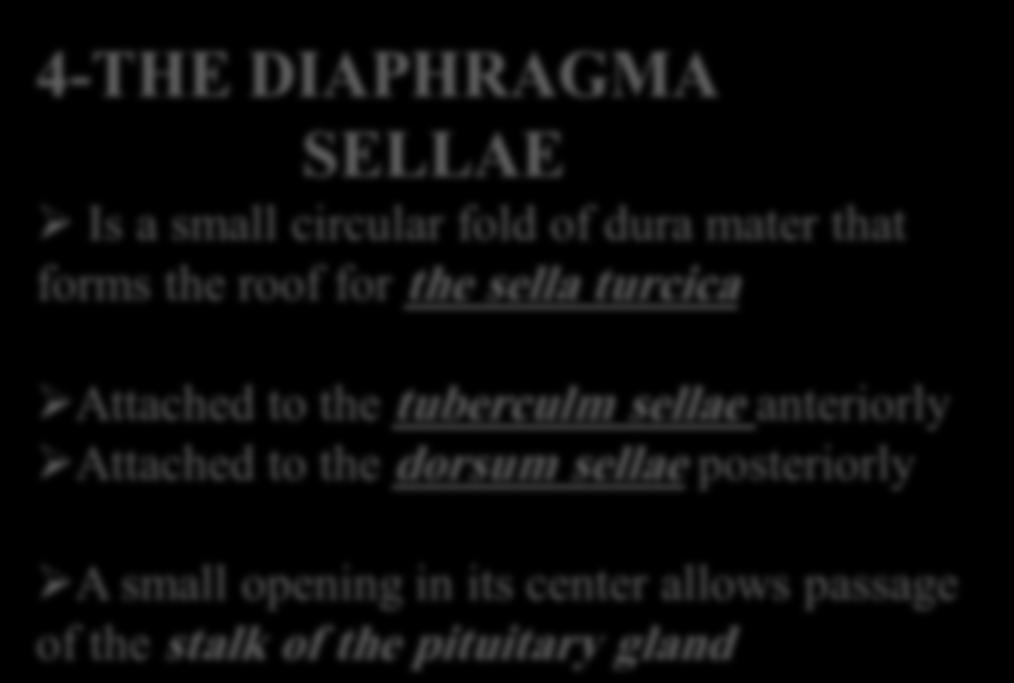 4-THE DIAPHRAGMA SELLAE Is a small circular fold of dura mater that forms the roof for the sella turcica Attached to the