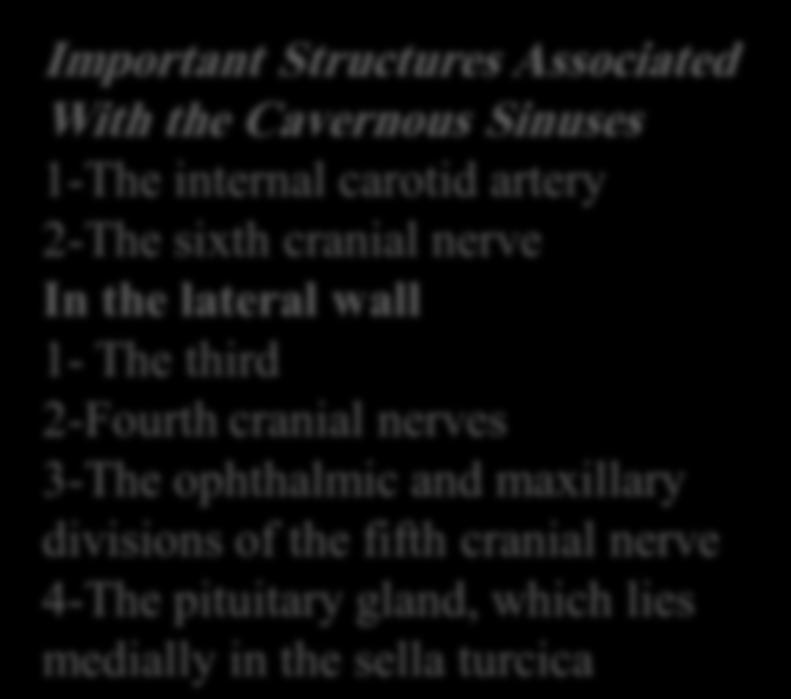 CAVERNOUS SINUS lies on the lateral side of the body of the sphenoid bone