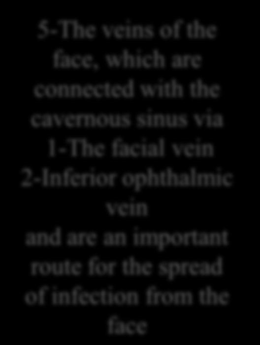 5-The veins of the face, which are connected with