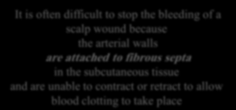 fibrous septa in the subcutaneous tissue and are