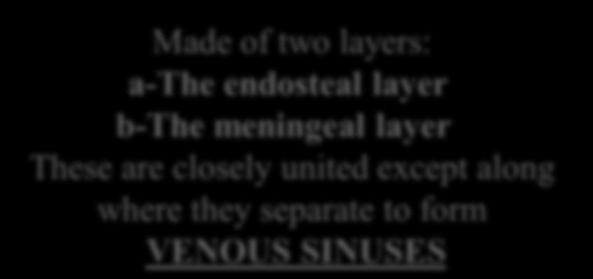 endosteal layer Is the ordinary periosteum covering the inner surface of the skull bones It