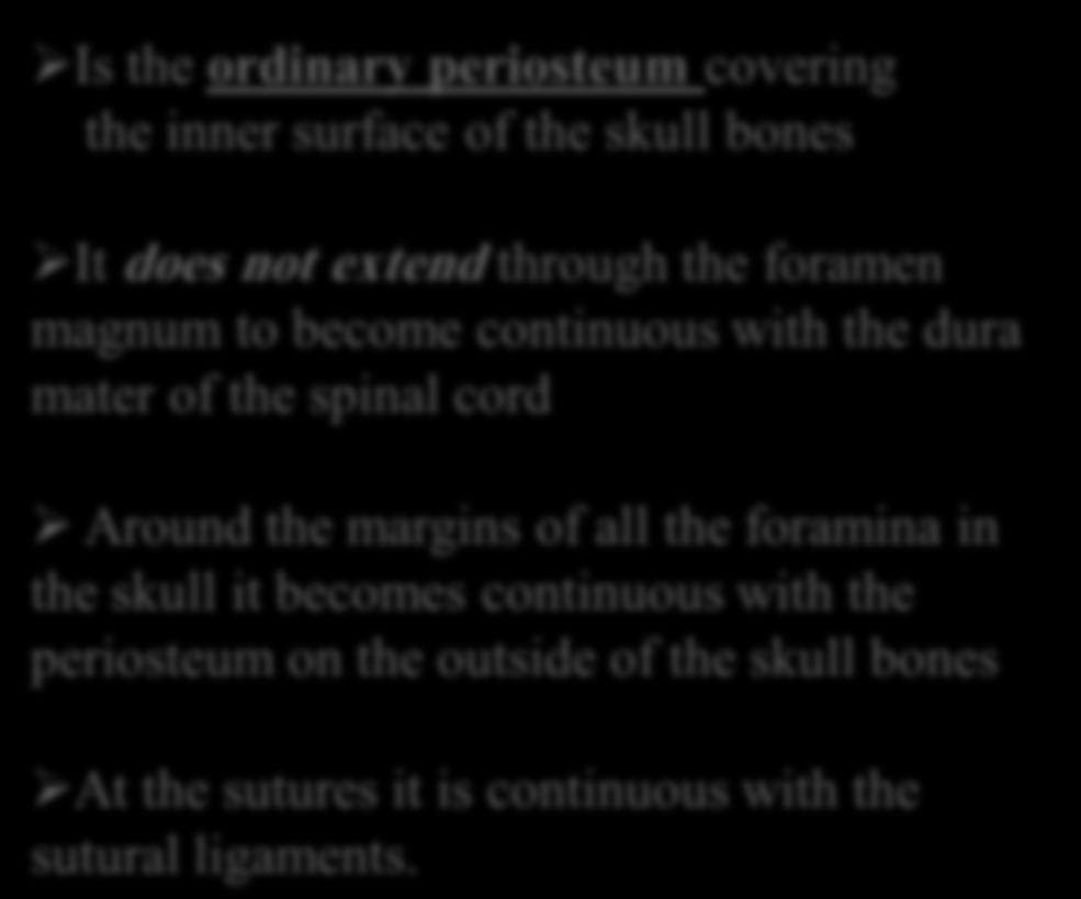spinal cord Around the margins of all the foramina in the skull it becomes continuous with