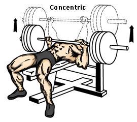 Types of strength training movements Concentric Positive work