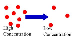 Concentration - the mass of solute in a given volume of solution, or mass/volume Example: 12 grams of salt in 3 liters of water Concentration = 12