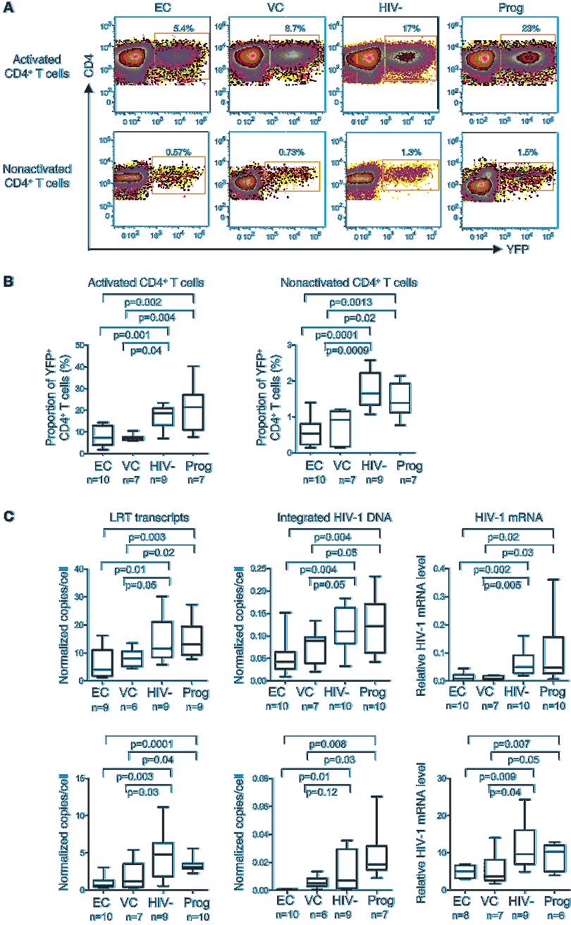 Figure 2 Analysis of early HIV-1 replication steps in CD4 + T cells after infection with a singlecycle YFP-encoding, VSV-G pseudotyped HIV-1 vector.