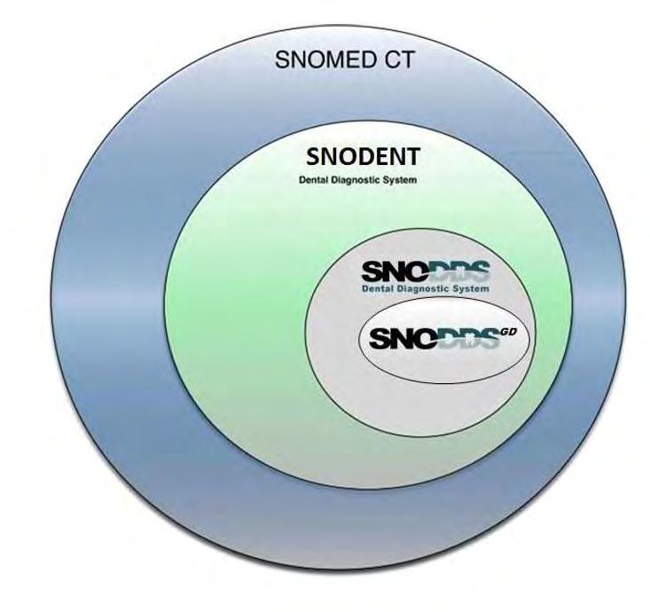 History of SNODENT SNODENT (~7,000 codes) Systemized Nomenclature of Dentistry Comprehensive clinical terminology for Dentistry that includes diagnosis, findings and anatomy SNODDS (~1,500 codes)