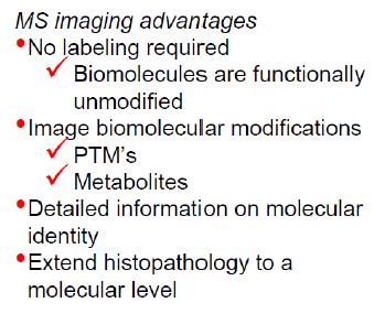 using MS imaging Prof.