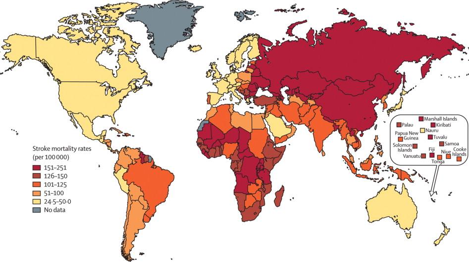 Age-adjusted and sex-adjusted stroke mortality rates.