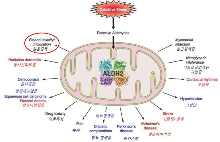 Diseases caused by insufficient ALDH (Aldehyde Dehydrogenase) in