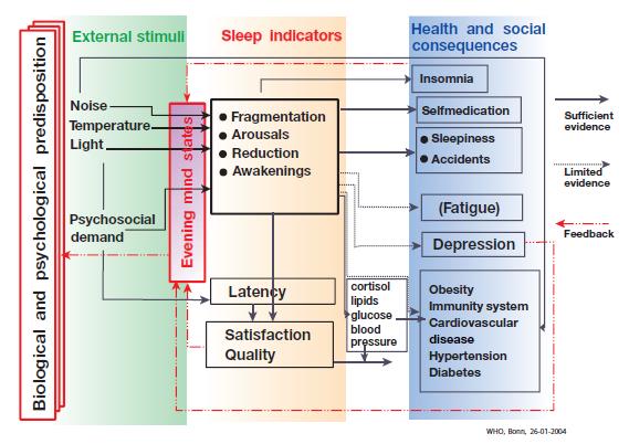 The relation between sleep and health In the figure the relations with sufficient evidence are indicated with solid lines, while relations for which