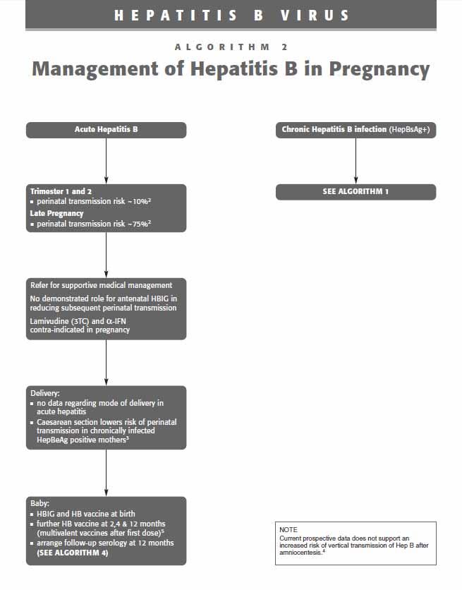 Hepatitis B in