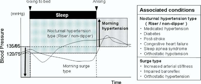 398 K. Kario and W.B. White / Journal of the American Society of Hypertension 2(6) (2008) 397 402 Figure 1. Morning hypertension and diurnal BP variation.