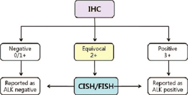 ALK IHC 3 tumor cells (A) showed ALK gene rearrangement in CISH (B); ALK IHC 2 tumor cells (C) also showed ALK gene rearrangement in CISH (D); ALK IHC 1 tumor cells (E) also showed native ALK gene