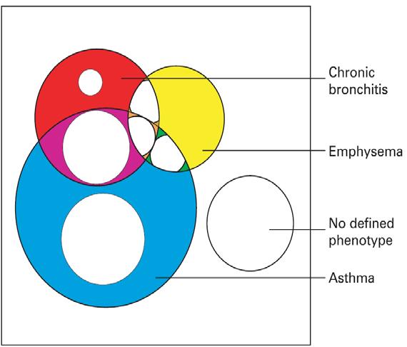 In 1989, Snider et al published a non-proportional Venn diagram illustrating the idea that COPD encompasses a group of disorders characterized by the presence of incompletely reversible airflow