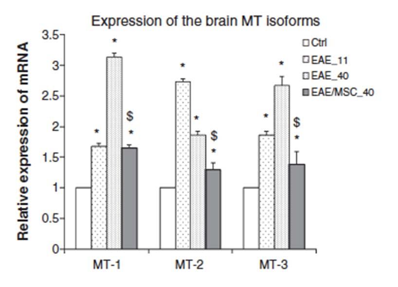 MSC reduce the EAE-dependent oxidative