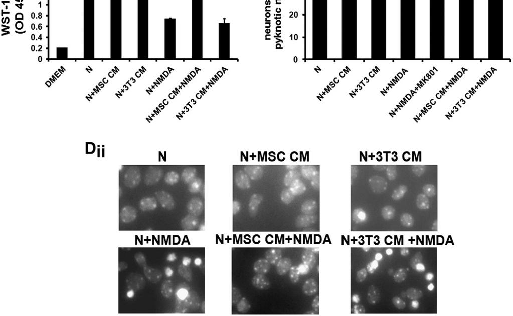 Mesenchymal stem cells protect CNS neurons against