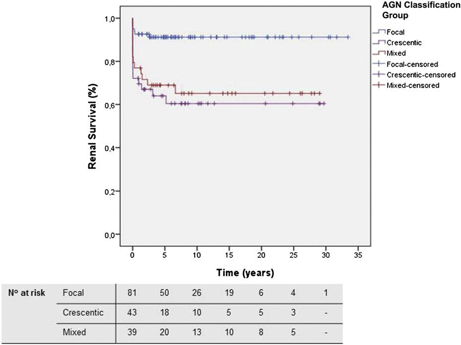 Figure 1. Renal survival, as shown by AGN classification, is best in the focal group (log rank analysis P,0.0001). The sclerotic group was left out because it consisted of only one patient. Figure 2.