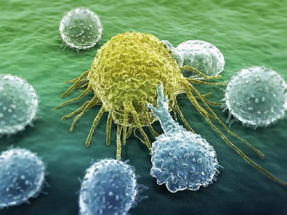 What are CAR T cells?