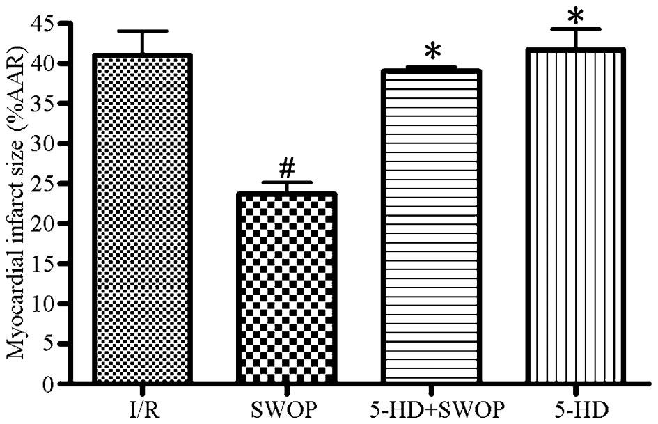532 H. Xie et al. (P,0.05), but there were no statistically significant differences in expression among the I/R, SWOP, and 5-HD+SWOP groups (P.0.05). Caspase-8 expression was downregulated during reperfusion in the SWOP group (P,0.