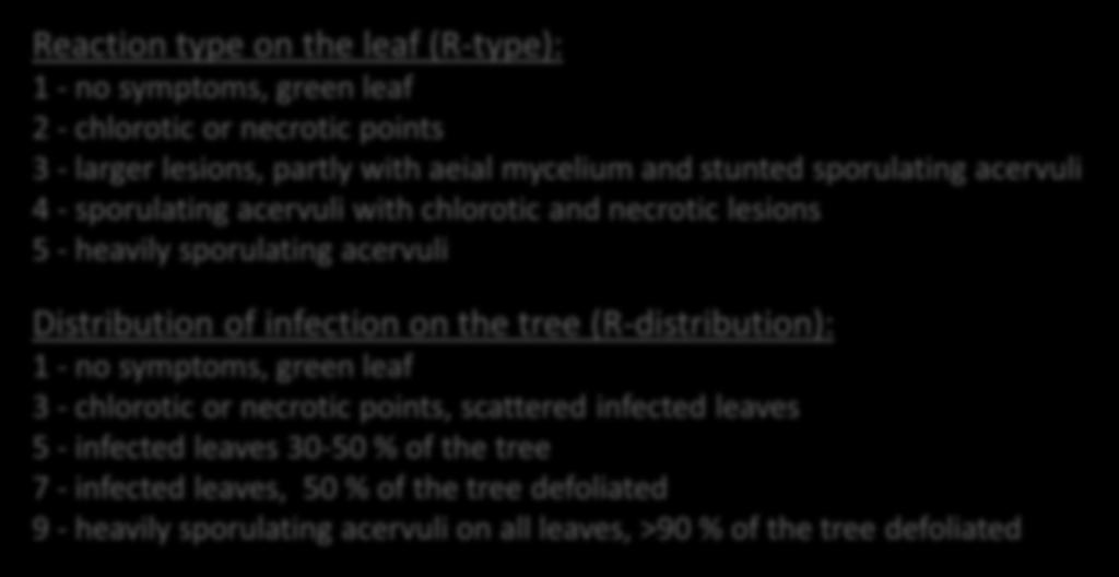 Cherry leaf spot Rating scale Evaluation (rating scale): Reaction type scale 1 5 Distribution of infection scale 1 9 Reaction type on the leaf (R-type): 1 - no symptoms, green leaf 2 - chlorotic or