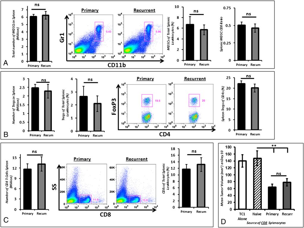 Together, these data show that the lack of vaccine efficacy in recurrent tumors is caused by a non CD8 T-cell mechanism that inhibits the efficacy of antigen-specific CD8 T lymphocytes in recurrent