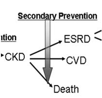 CKD Treatment ACE/ARB s in Diabetic CKD Goals: Prevent progression to ESRD Prevent CKD complications Treatments: ACE/ARB therapy Blood Pressure Control Glucose Control in Diabetes Statins Prevention