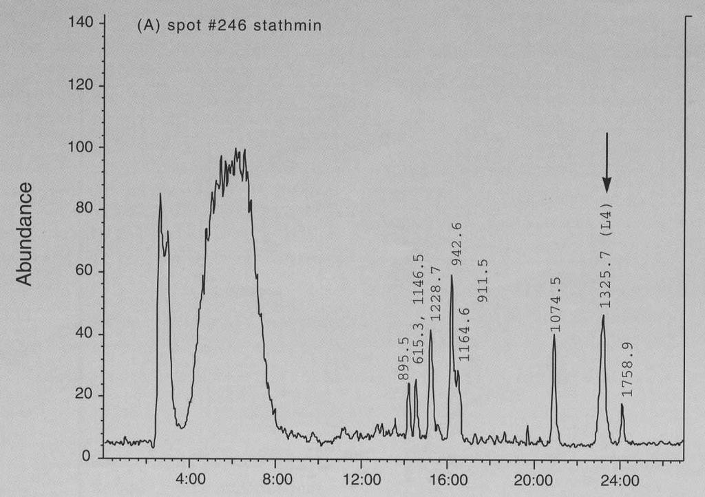 LC-MS chromatographic traces relevant to Lys-C digests of
