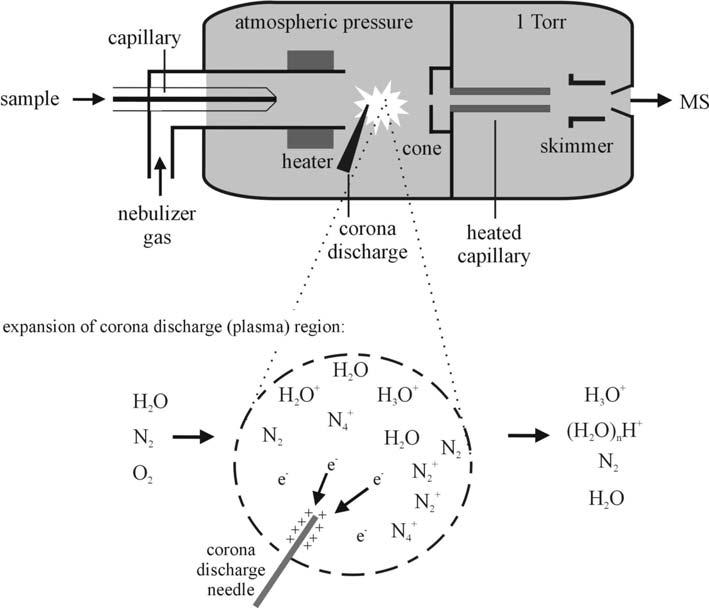 1 INTRODUCTION 21 Figure 1.4: Schematic description of the atmospheric pressure chemical ionization (APCI) interface and the mechanism of ion formation in the corona discharge region. 1.6.