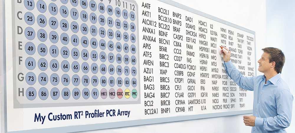 Custom PCR arrays RNA-seq verification Biomarker discovery CRISPR/RNAi knockdown verification