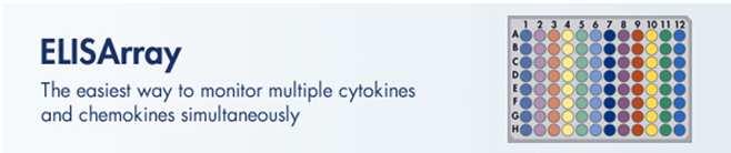 ELISArrays You can measure 12 cytokines or chemokines for 6 samples at the same time! http://www.