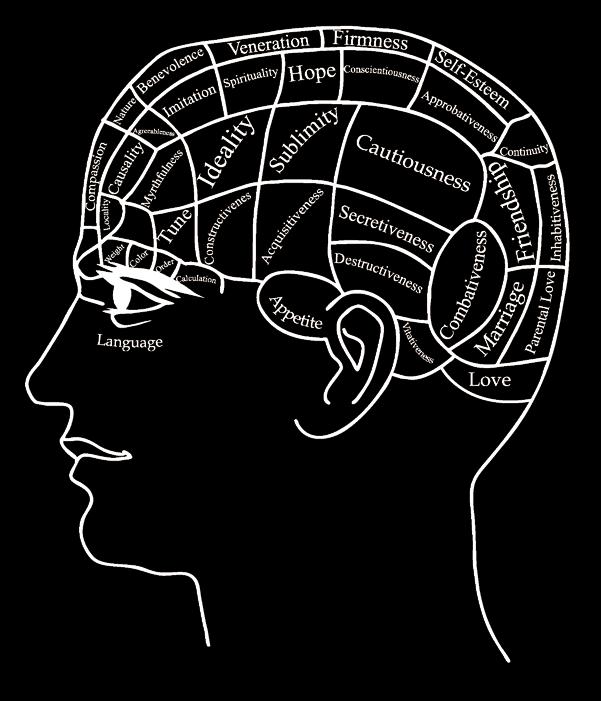 A phrenologist s diagram of the
