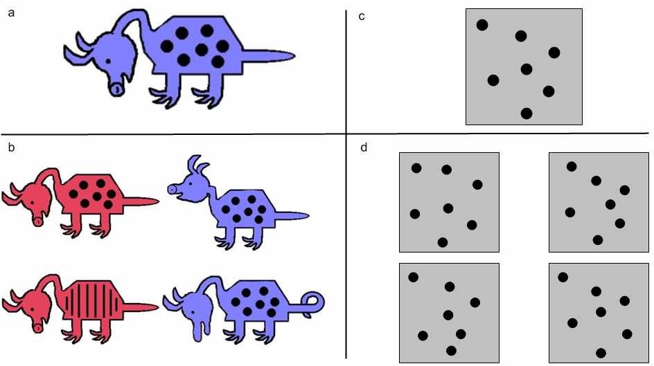 The second type of stimuli is dot-pattern stimuli. Prototypes are represented by a certain dot configuration (Figure 1.