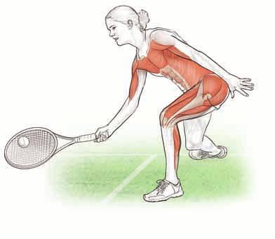 the tennis player in motion 17 Volleys Although elite players don t come to the net as much as they used to since passing shots have improved significantly with new equipment, volleys are still an