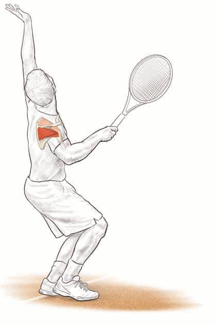 shoulders 39 Muscles Involved Primary: Infraspinatus, teres minor Secondary: Supraspinatus, posterior deltoid Tennis Focus Similar to the external rotation exercise, the 90/90 external rotation with