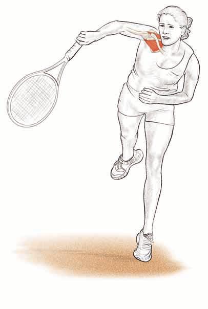 shoulders 41 Muscles Involved Primary: Subscapularis Secondary: Anterior deltoid Tennis Focus A strong rotator cuff is important in tennis, especially just before and during ball contact.