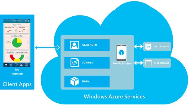 Security Windows Azure Services Cloud platform Secure SSL encryption, HIPAA Adherent platform Data is not stored in devices to prevent loss if stolen