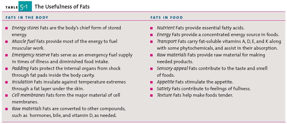 Usefulness of Fats