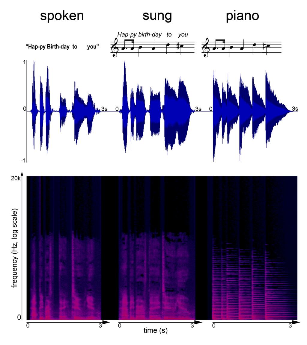 FIGURE 1. (a) The words Happy Birthday recited in a normal speaking voice; (b) the same words sung to the familiar melody; (c) the same melody played by a solo piano.