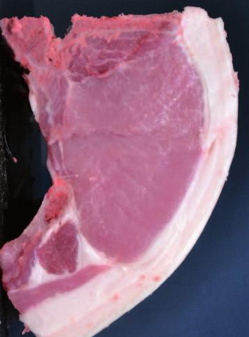 lipid mouthfeel (error rate < 1). A tendency was also observed for juiciness (error rate < 1), i.e. there was a tendency to find meats more juicy as the marbling score increased.