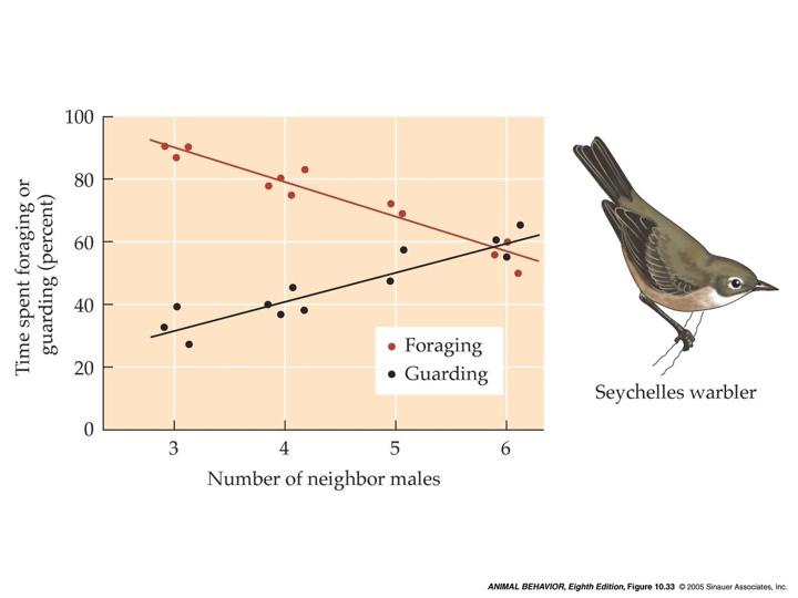 Extra-pair copulation behavior should lead, via natural selection, to mate guarding behavior.