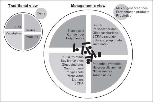 A Metagenomic View of our