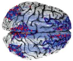 The role of functional and molecular neuroimaging A window on other neuroimaging technologies Parkinson disease,
