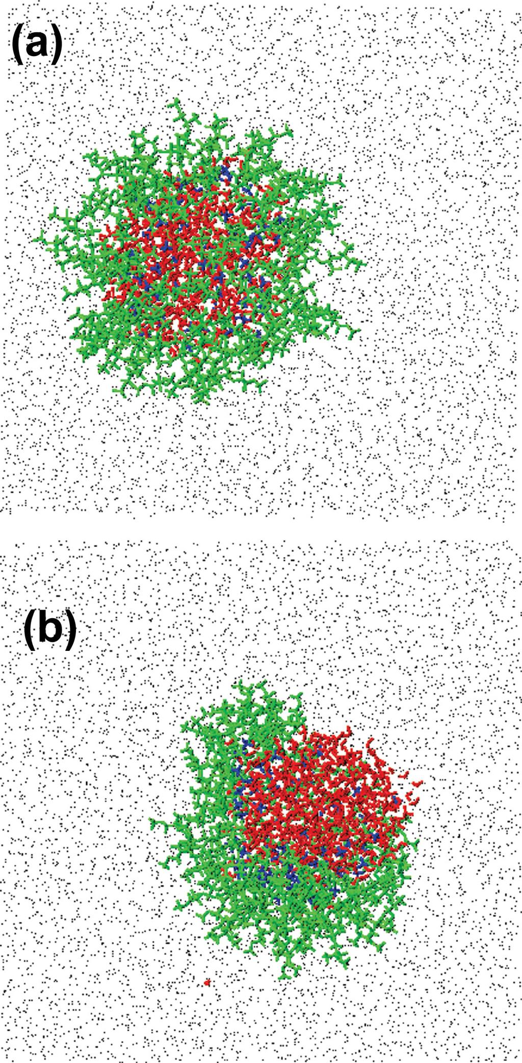 Figure 2.6: Structures of (a) PFPE and (b) PE aggregates from self-assembly.
